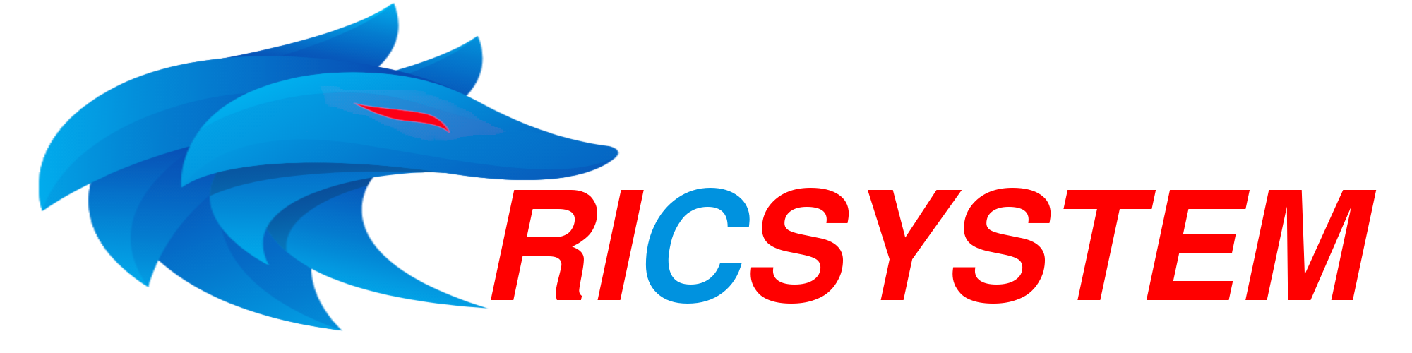 RICSYSTEM - sviluppo software, reti informatiche e robotica